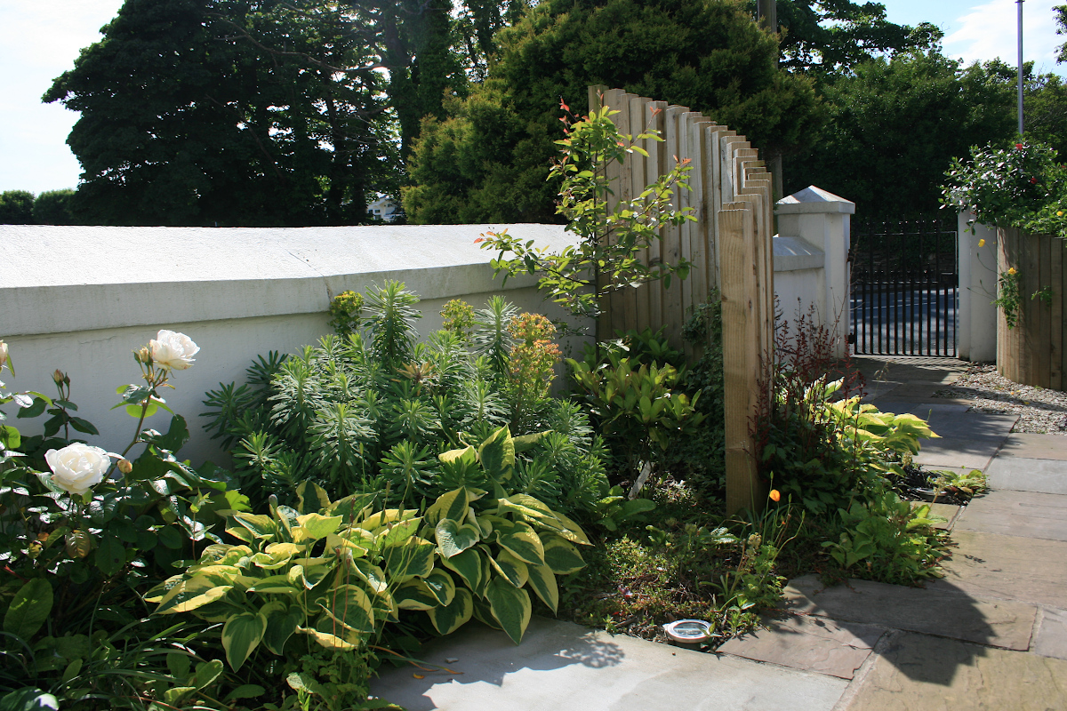Garden design infront of house decorative retaining wall