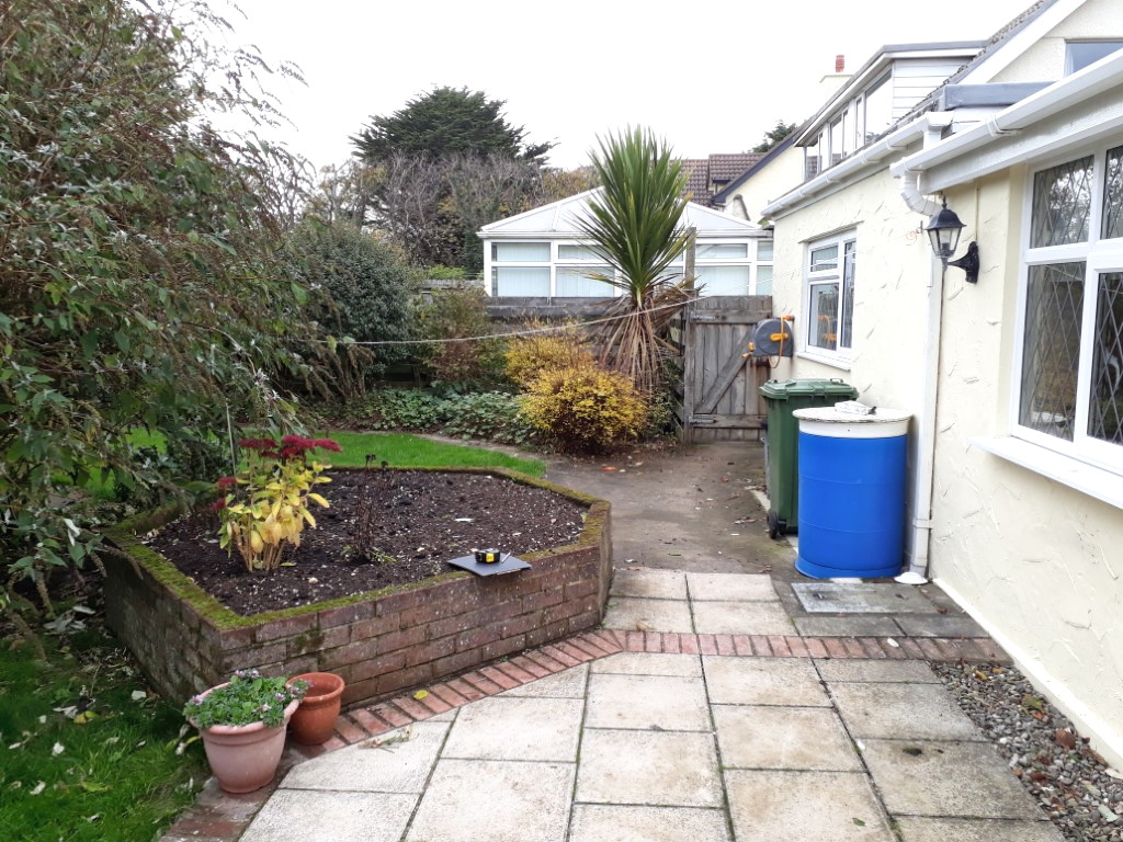 Overgrown garden with old patio and irregular shaped planting bed