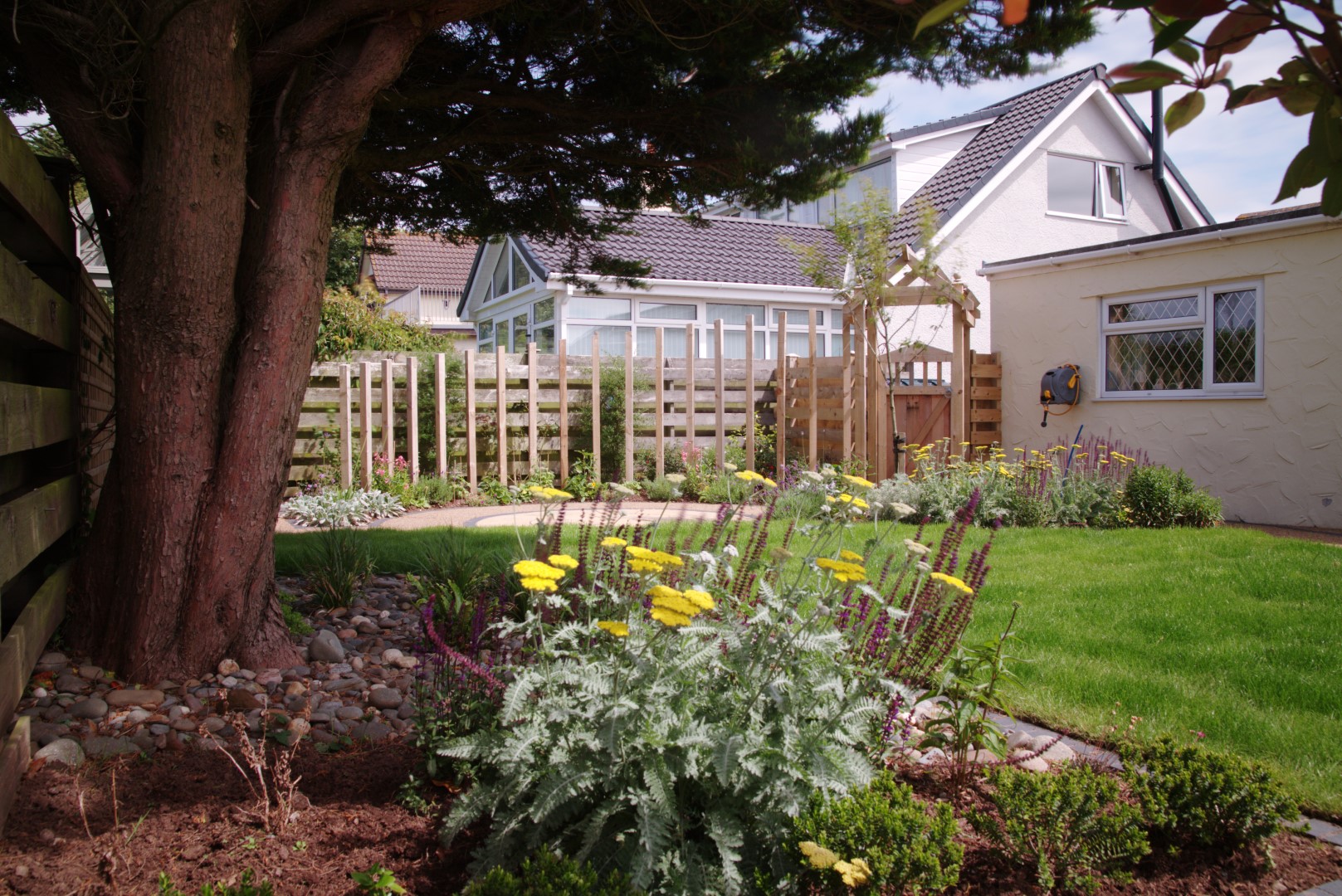 Yellow flowers in bloom in side border of beautiful garden