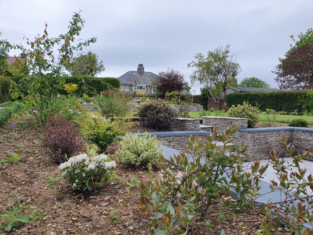 New planting within private garden, Douglas, Isle of Man